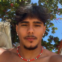 Emiliano da Silva Lopes